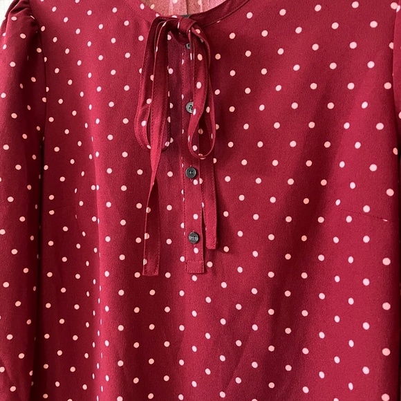 Draper James merlot Polka Dot Rosanne Shift Dress - Picture 7 of 12
